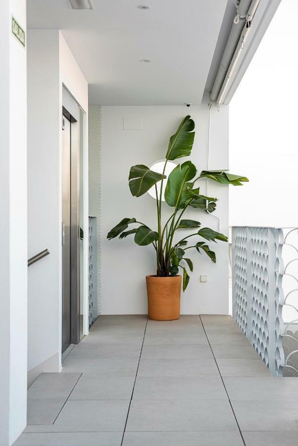 كونيل ذي لا فرونتيرا Apartamentos Y Estudios Centricos Conil Home Suite المظهر الخارجي الصورة